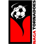 Nagaland badge