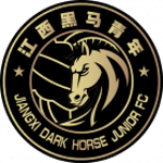 Wenzhou Professional FC badge