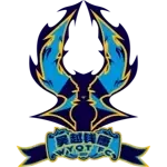 Hangzhou Linping Wuyue FC badge