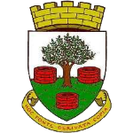 Wells City badge