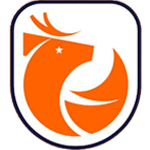 Liga de Primera logo