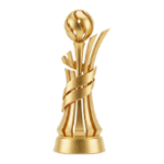 Ukraine Cup logo
