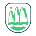Copa de la Liga  logo